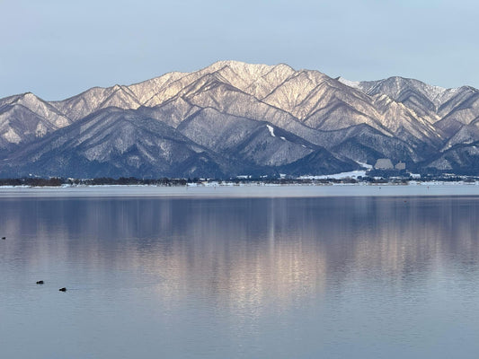What is white balance in photography?